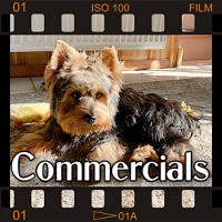 Music For Media : Commercials