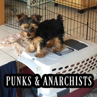 Music For Media : Punks & Anarchists