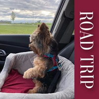 Music For Media : Road Trip