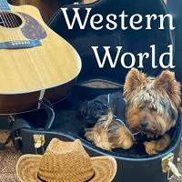 Music For Media : Western World